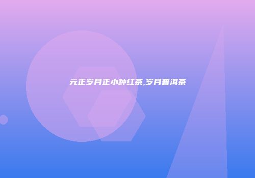 元正岁月正小种红茶,岁月普洱茶