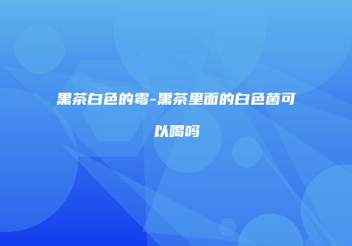黑茶白色的霉-黑茶里面的白色菌可以喝吗