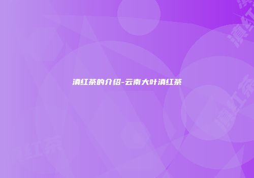 滇红茶的介绍-云南大叶滇红茶
