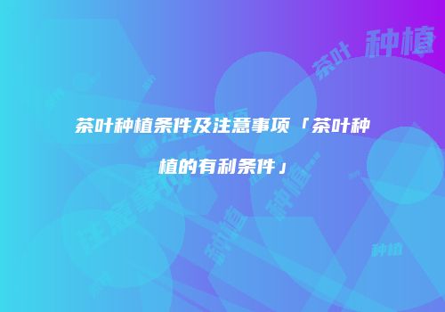 茶叶种植条件及注意事项「茶叶种植的有利条件」