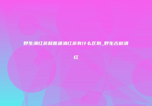 野生滇红茶和普通滇红茶有什么区别_野生古树滇红