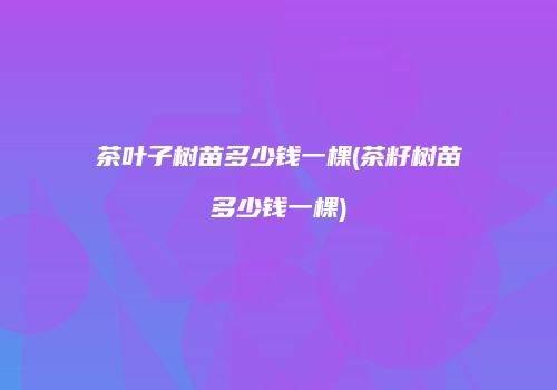 茶叶子树苗多少钱一棵(茶籽树苗多少钱一棵)