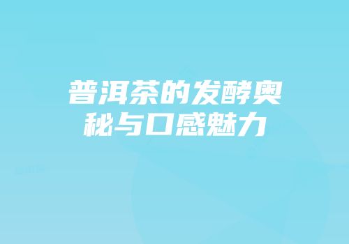 普洱茶的发酵奥秘与口感魅力