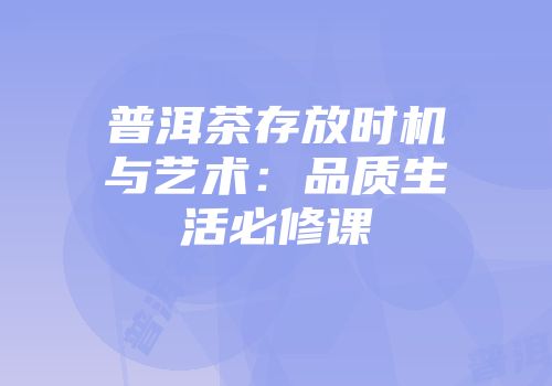 普洱茶存放时机与艺术：品质生活必修课