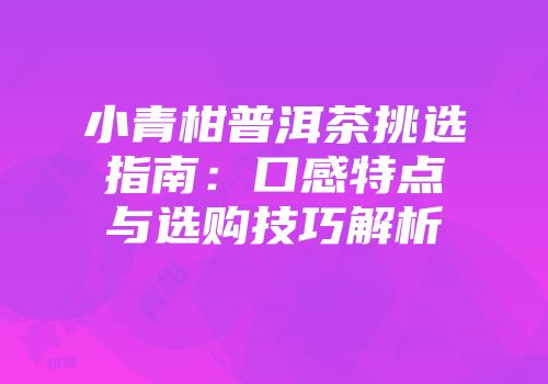 小青柑普洱茶挑选指南：口感特点与选购技巧解析