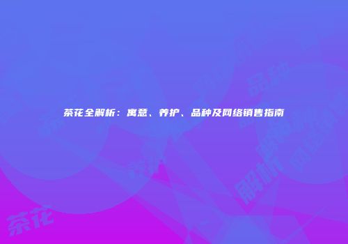 茶花全解析：寓意、养护、品种及网络销售指南