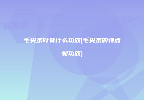 毛尖茶叶有什么功效(毛尖茶的特点和功效)