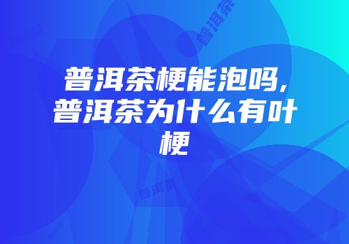 普洱茶梗能泡吗,普洱茶为什么有叶梗