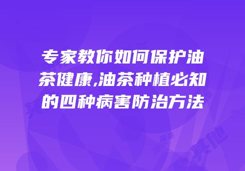 专家教你如何保护油茶健康,油茶种植必知的四种病害防治方法