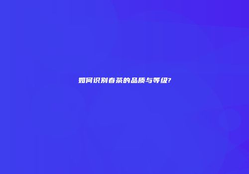 如何识别春茶的品质与等级?