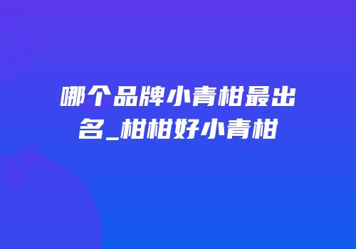 哪个品牌小青柑最出名_柑柑好小青柑