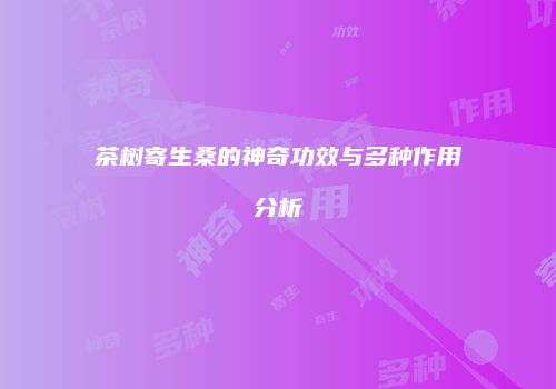 茶树寄生桑的神奇功效与多种作用分析
