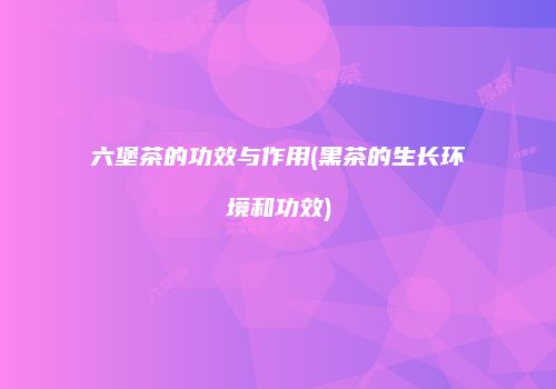 六堡茶的功效与作用(黑茶的生长环境和功效)
