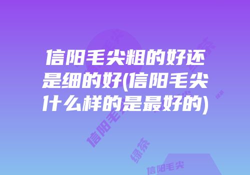 信阳毛尖粗的好还是细的好(信阳毛尖什么样的是最好的)