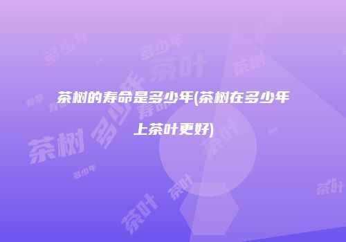 茶树的寿命是多少年(茶树在多少年上茶叶更好)