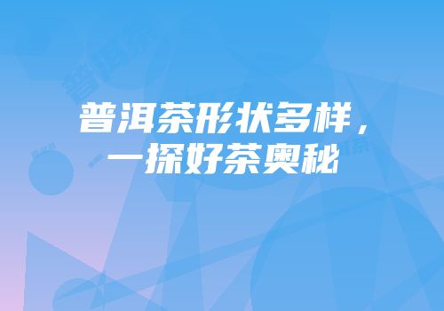 普洱茶形状多样，一探好茶奥秘