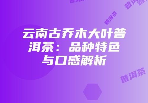 云南古乔木大叶普洱茶：品种特色与口感解析