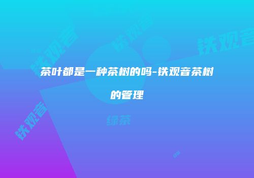 茶叶都是一种茶树的吗-铁观音茶树的管理