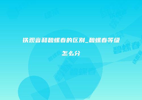 铁观音和碧螺春的区别_碧螺春等级怎么分