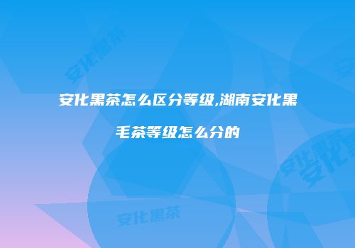 安化黑茶怎么区分等级,湖南安化黑毛茶等级怎么分的