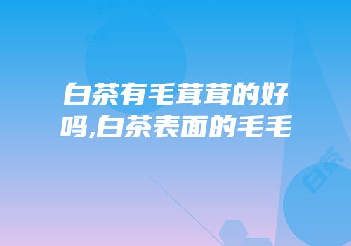 白茶有毛茸茸的好吗,白茶表面的毛毛