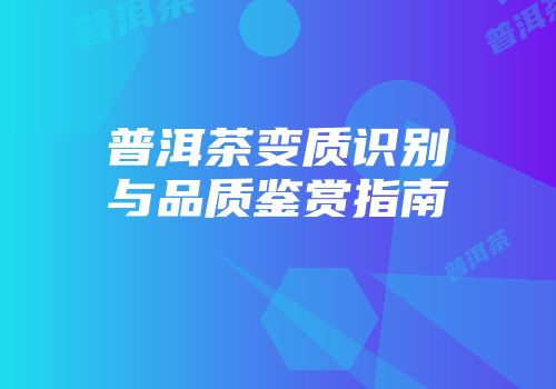 普洱茶变质识别与品质鉴赏指南