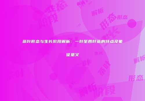 茶叶形态与生长阶段解析：一叶至四叶茶的特点及象征意义