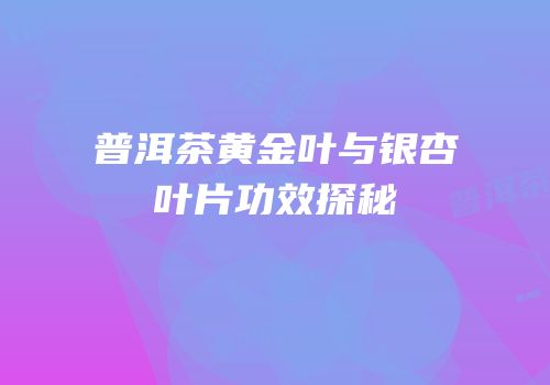普洱茶黄金叶与银杏叶片功效探秘