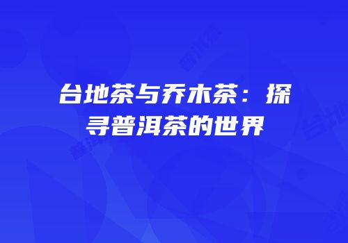 台地茶与乔木茶：探寻普洱茶的世界