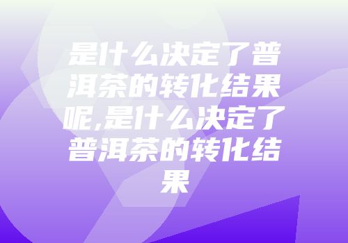 是什么决定了普洱茶的转化结果呢,是什么决定了普洱茶的转化结果