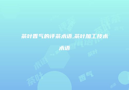 茶叶香气的评茶术语,茶叶加工技术术语