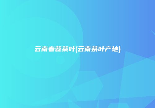 云南春蕊茶叶(云南茶叶产地)