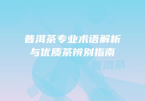 普洱茶专业术语解析与优质茶辨别指南