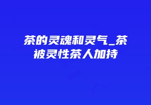 茶的灵魂和灵气_茶被灵性茶人加持