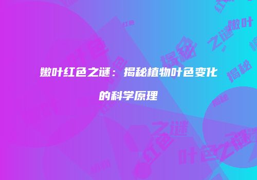 嫩叶红色之谜：揭秘植物叶色变化的科学原理