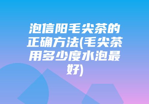 泡信阳毛尖茶的正确方法(毛尖茶用多少度水泡最好)