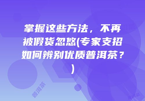 掌握这些方法，不再被假货忽悠(专家支招如何辨别优质普洱茶？)