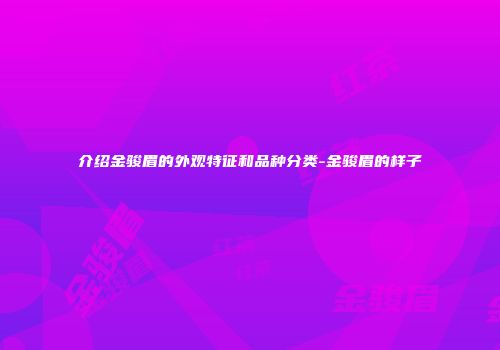 介绍金骏眉的外观特征和品种分类-金骏眉的样子