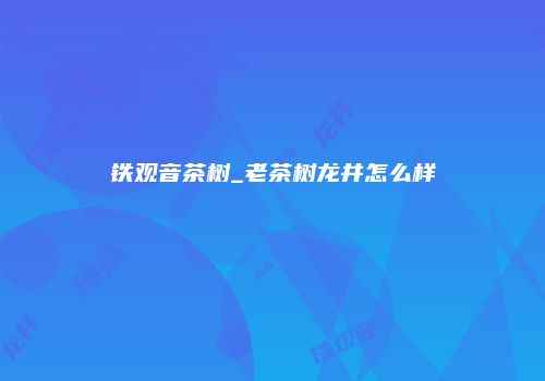 铁观音茶树_老茶树龙井怎么样