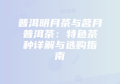 普洱明月茶与茗月普洱茶：特色茶种详解与选购指南