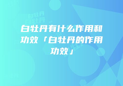 白牡丹有什么作用和功效「白牡丹的作用功效」
