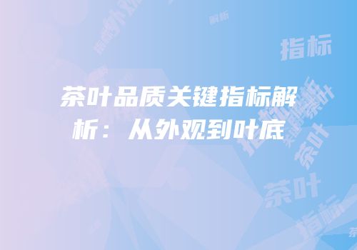 茶叶品质关键指标解析：从外观到叶底