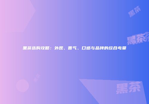 黑茶选购攻略：外观、香气、口感与品牌的综合考量