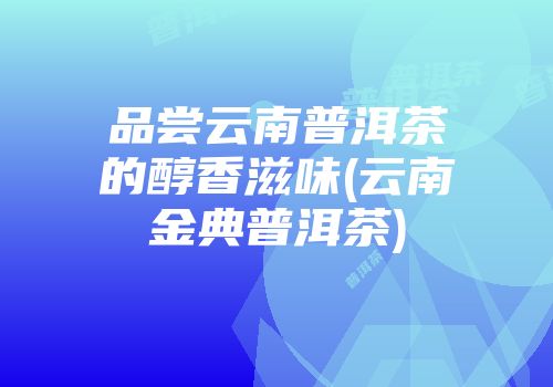 品尝云南普洱茶的醇香滋味(云南金典普洱茶)