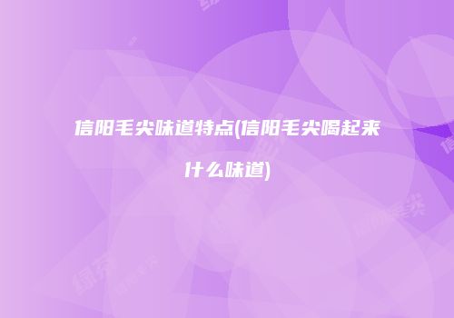 信阳毛尖味道特点(信阳毛尖喝起来什么味道)
