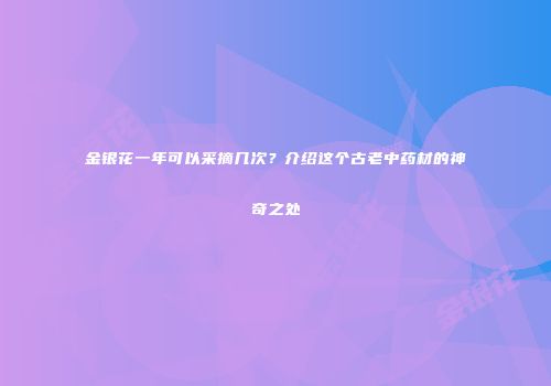 金银花一年可以采摘几次？介绍这个古老中药材的神奇之处