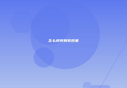 怎么样辨别紫砂壶