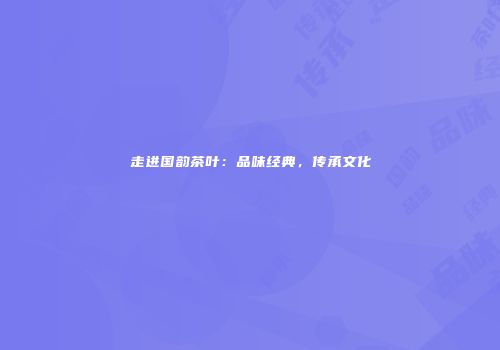 走进国韵茶叶：品味经典，传承文化