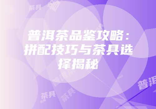 普洱茶品鉴攻略：拼配技巧与茶具选择揭秘
