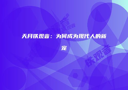 天月铁观音：为何成为现代人的新宠